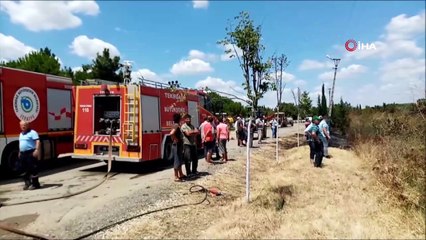 Piknik alanında yüzlerce çam kül oldu