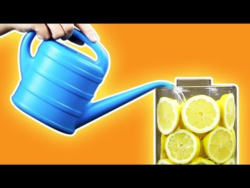 Três ideias engenhosas para arranjar suas flores