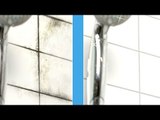 Solução caseira contra mofo: este spray deixará suas paredes limpas