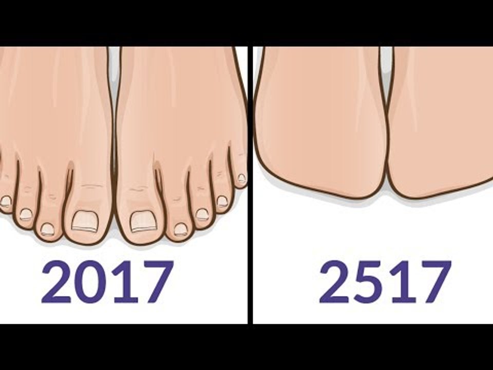 9 partes do corpo que não existirão mais em 500 anos.