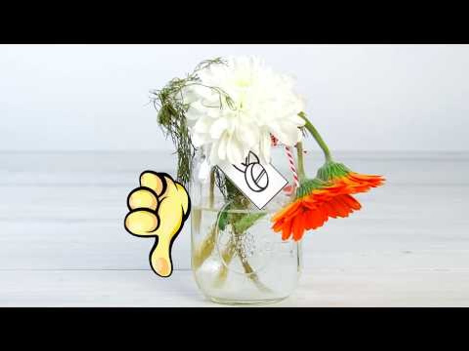 Como fazer suas flores durarem mais? Testamos 8 métodos. Você não vai acreditar no resultado! 
