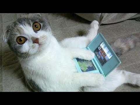 9 motivos pelos quais o vídeo game é bom para nós. O n°5...