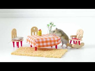 Vous ne croirez jamais ce que ce hamster a dans les pattes. Mais il a l'air d'aimer ça.