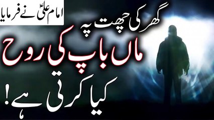 Maa Baap ki Rooh Ghar Ki chhat pe kyu aati hai _ Hazrat Imam Ali as Quotes _ Merban Ali