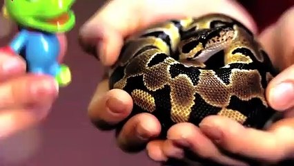 완산구출장안마 -후불100%ョO7Os7301s9649｛카톡MOK66} 완산구전지역출장안마 완산구오피걸 완산구출장마사지 완산구안마 완산구출장마사지 완산구콜걸샵∧⊙▼