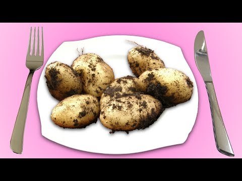 As 5 maneiras mais gostosas de se preparar batatas