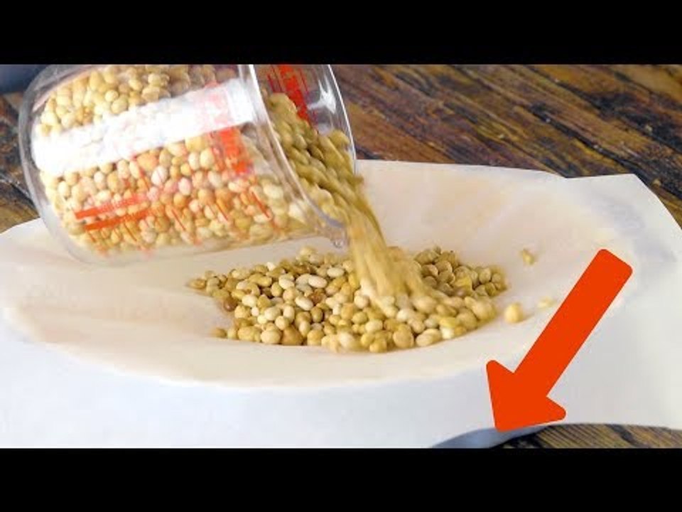 Coloque legumes secos em cima do papel manteiga. Em 20 minutos você saberá por quê.