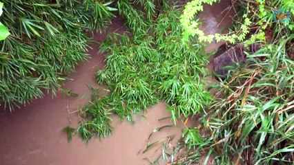 Ponte de Uruaé entre Itambé/Goiana