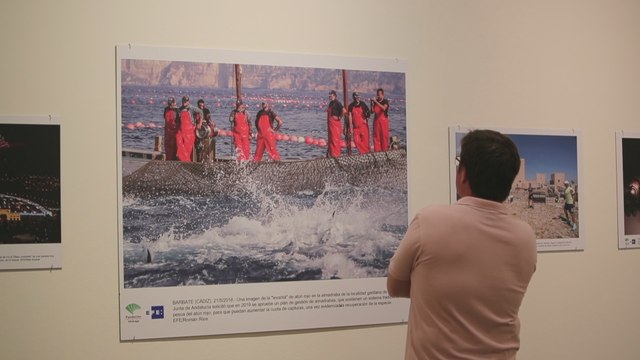 Medio centenar de fotografías de EFE recorren la Andalucía del 2018