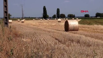 DHA DIŞ - Fransa'da 72 yılın en sıcak günü yaşanıyor