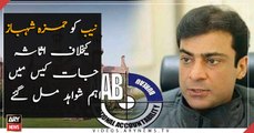 NAB found significant evidence in the assets case against Hamza Shahbaz