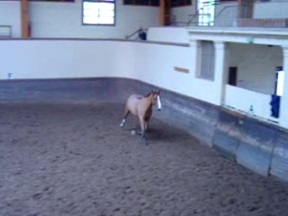 MOV07490