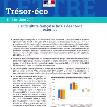 [Trésor-Éco] L'agriculture française face à des chocs externes