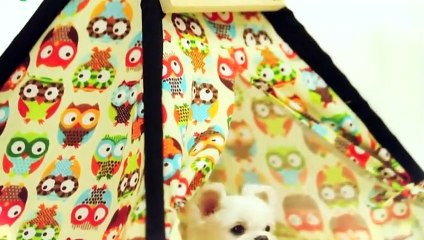 상당출장안마 -후불100%ョO7Os7301s9649｛카톡CS69｝ 상당전지역출장안마 상당오피걸 상당출장마사지 상당안마 상당출장마사지 상당콜걸샵□■▲