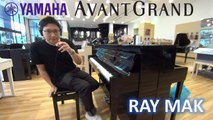 The Script - Hall of Fame Piano by Ray Mak | Yamaha AvantGrand NU1X Bösendorfer