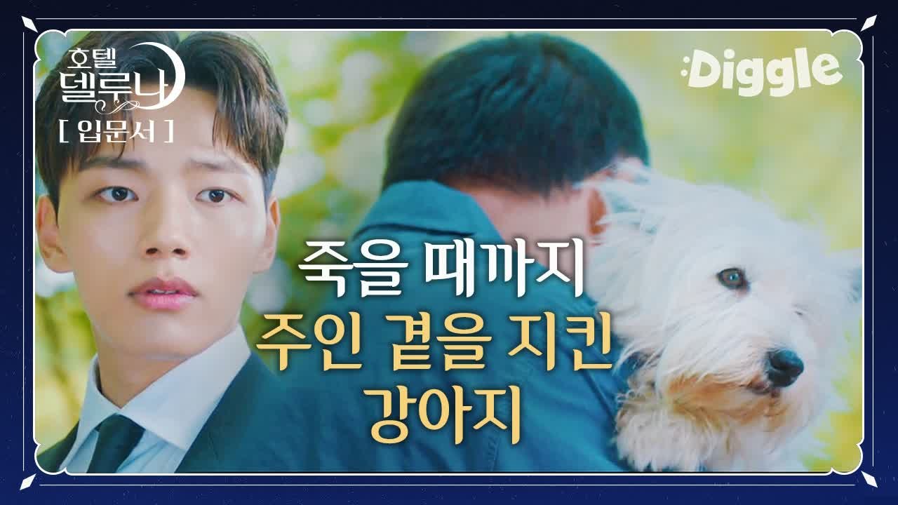 [#호텔델루나] ※눈물광광※ 끝까지 할아버지 곁 지킨 순돌이, 천국 가는 길까지도 함께하다. 눈물 또르르 흘리다가 어느새 눈물댐 개방..흡 | #Diggle