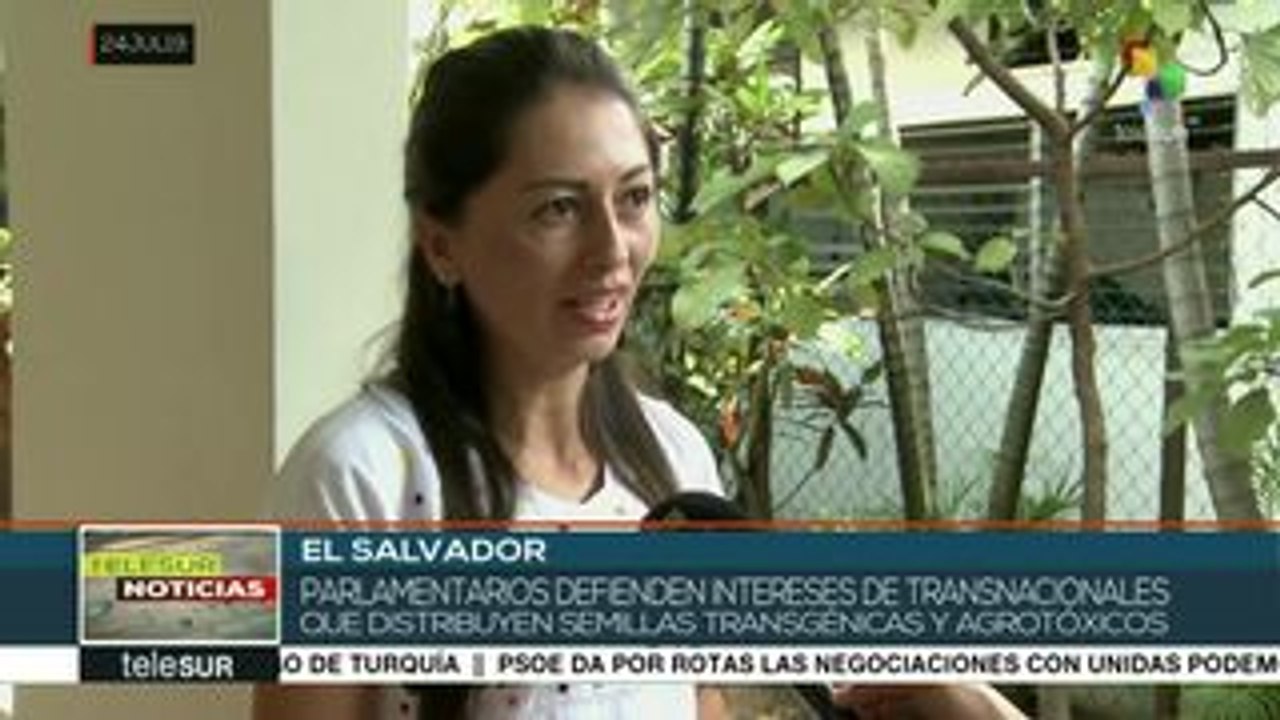 teleSUR Noticias: Avanzan ejercicios militares en Venezuela