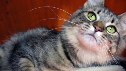 보령출장안마 -후불100%ョO7Ov7575v0069｛카톡CC6969｝ 보령전지역출장안마 보령오피걸 보령출장마사지 보령안마 보령출장마사지 보령콜걸샵≠±×