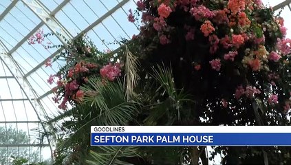 GOODLINES: 26th July 2019