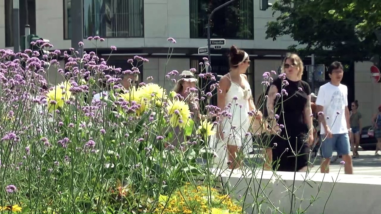 Hitzewelle lässt Rekorde purzeln