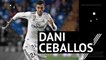 Dani Ceballos - Player Profile