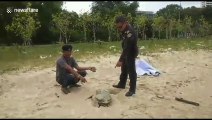 Sea turtle found dead with stomach full of plastic on Thai beach