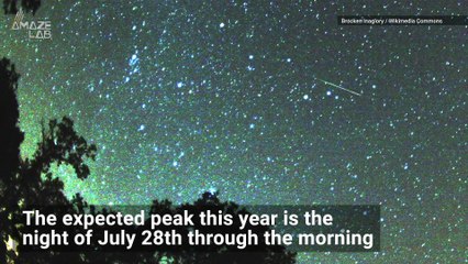 Look Up! Delta Aquariid Meteor Shower Peaks This Weekend