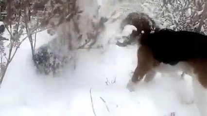 기장출장안마 -후불100%ョOiOs2671s8135｛카톡AQ52｝ 기장전지역출장안마 기장오피걸 기장출장마사지 기장안마 기장출장마사지 기장콜걸샵ийк