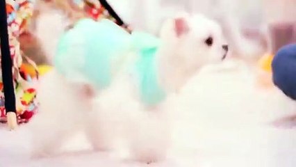 강화출장타이Ø7ØA7575A0069｛카톡RD654｝ぱ강화출장안@마ぱ강화출장샵ぱ강화출장맛사지 ぱ강화출장걸썰 강화출장걸가격 강화출장러시아 강화외국인후불출장업소 강화24시출장마사지샵'예약▣◑▒