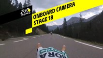Onboard camera Emotions - Étape 18 / Stage 18 - Tour de France 2019