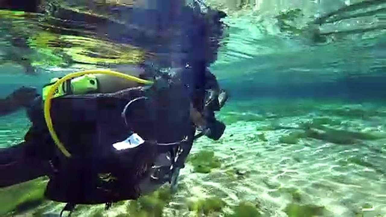 Bare Elate 5 mm Wetsuit | ScubaLab Best Buy