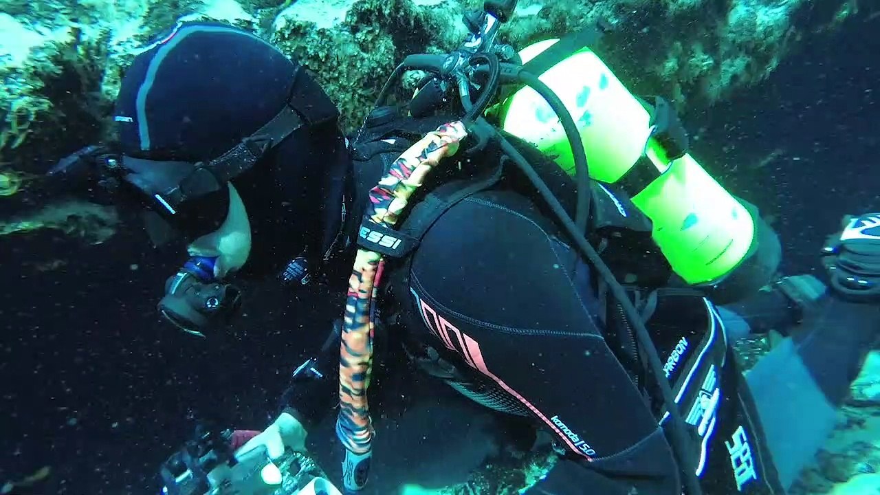 Pinnacle Tempo XT 5 mm Wetsuit | ScubaLab Testers Choice