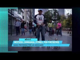 ElHeraldoTV Primera Emisión - Vence plazo de 45 días entre México y EU