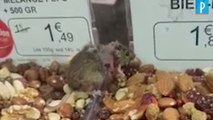 Une souris dans un étal de supermarché Grand Frais