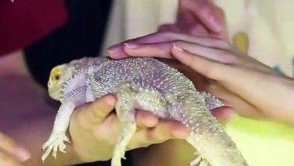 송도출장타이O7Os7301s9649｛카톡ZF66｝ぱ송도출장안@마ぱ송도출장샵ぱ송도출장맛사지 ぱ송도출장걸썰 송도출장걸가격 송도출장러시아 송도외국인후불출장업소 송도24시출장마사지샵'예약ルレロ