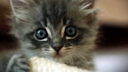 동해출장안마 -후불100%ョØ1ØA8109A5900｛카톡GD825｝ 동해전지역출장안마 동해오피걸 동해출장마사지 동해안마 동해출장마사지 동해콜걸샵※≒℃