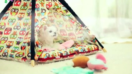 인제출장안마 -후불100%ョ 070c7575c0040｛카톡EM85｝ 인제전지역출장안마 인제오피걸 인제출장마사지 인제안마 인제출장마사지 인제콜걸샵ェエォ