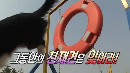 대덕구출장안마 -후불100%ョOiOy8109y5900｛카톡OYO78｝ 대덕구전지역출장안마 대덕구오피걸 대덕구출장마사지 대덕구안마 대덕구출장마사지 대덕구콜걸샵∧⊙▼