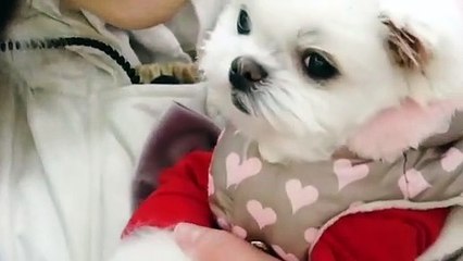 전주출장안마 -후불100%ョOiOc2659c1768｛카톡SN92｝ 전주전지역출장안마 전주오피걸 전주출장마사지 전주안마 전주출장마사지 전주콜걸샵∠⊥≤