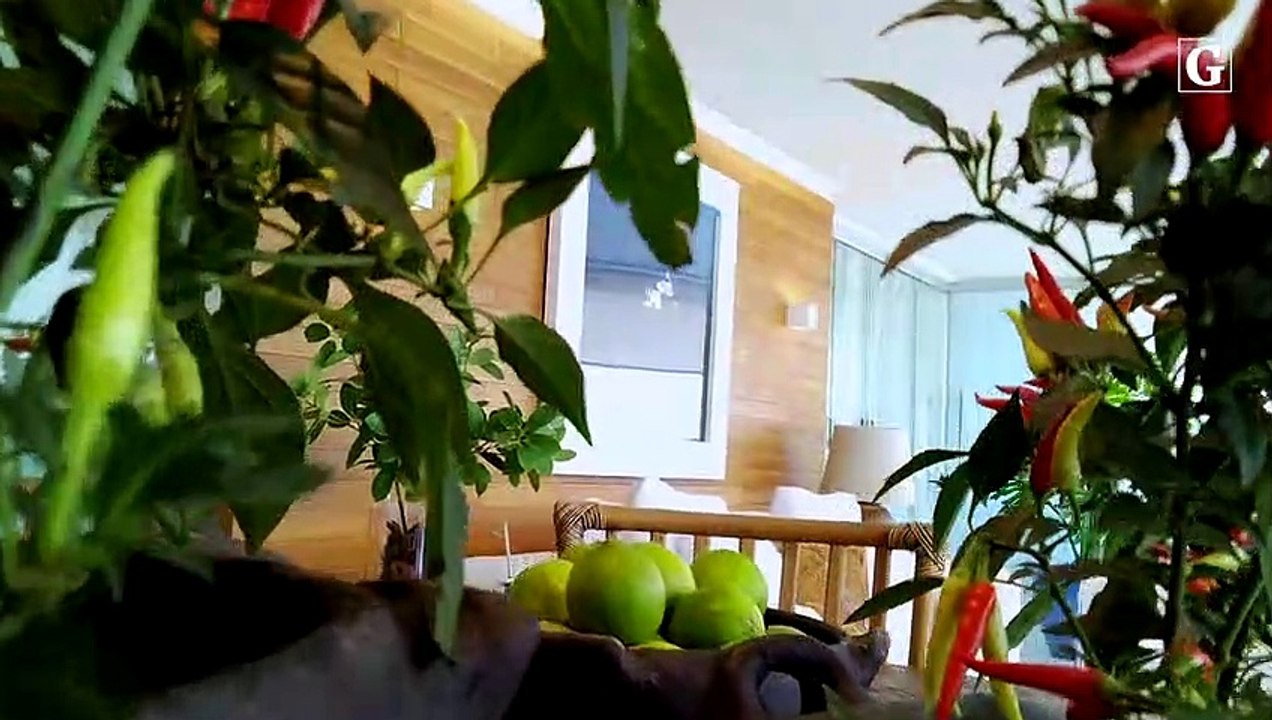 Ícones capixabas na decoração