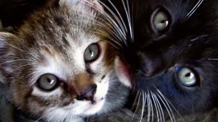 군위출장타이OiOs2671s8135｛카톡AQ52｝ぱ군위출장안@마ぱ군위출장샵ぱ군위출장맛사지 ぱ군위출장걸썰 군위출장걸가격 군위출장러시아 군위외국인후불출장업소 군위24시출장마사지샵'예약ЧШЩ