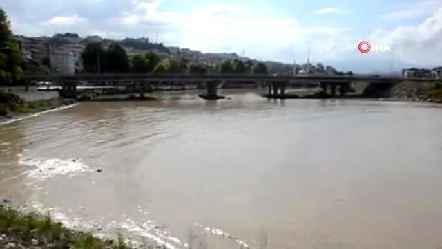 Alaplı Çayı'nda yunus balığı...Balık sürülerini takip eden 2 yunus 70 metre mesafede bulunan Alaplı...