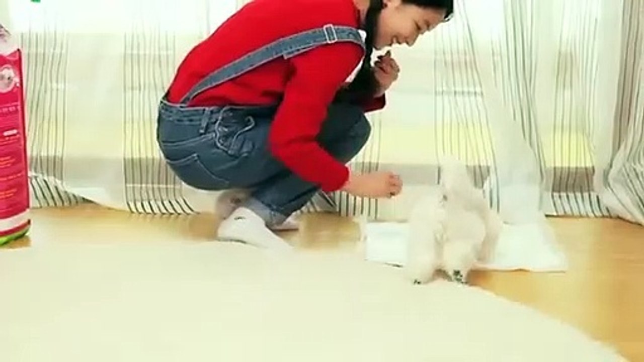 횡성출장타이070c5180c1620｛카톡XI74｝ぱ횡성출장안@마ぱ횡성출장샵ぱ횡성출장맛사지 ぱ횡성출장걸썰 횡성출장걸가격 횡성출장러시아 횡성외국인후불출장업소 횡성24시출장마사지샵'예약モャヤ