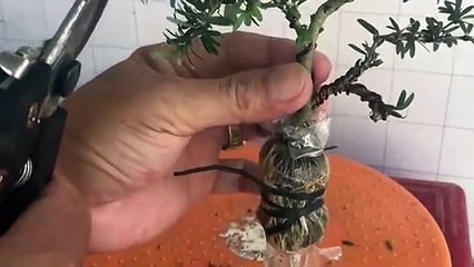 중구출장타이 O7Os7333s9649｛카톡VV23}ぱ중구출장안@마ぱ중구출장샵ぱ중구출장맛사지 ぱ중구출장걸썰 중구출장걸가격 중구출장러시아 중구외국인후불출장업소 중구24시출장마사지샵'예약æđð