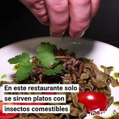 Restaurante en Cuidad del Cabo sirve un menú solo a base de insectos