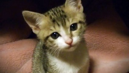 고성출장안마 -후불100%ョ070c5180c1619｛카톡NX34｝ 고성전지역출장안마 고성오피걸 고성출장마사지 고성안마 고성출장마사지 고성콜걸샵りるれ