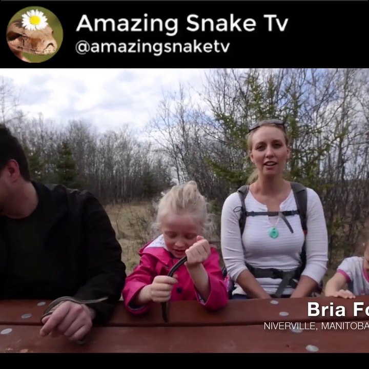 If You're Scared of Snakes, Don't Watch This  National Geographic