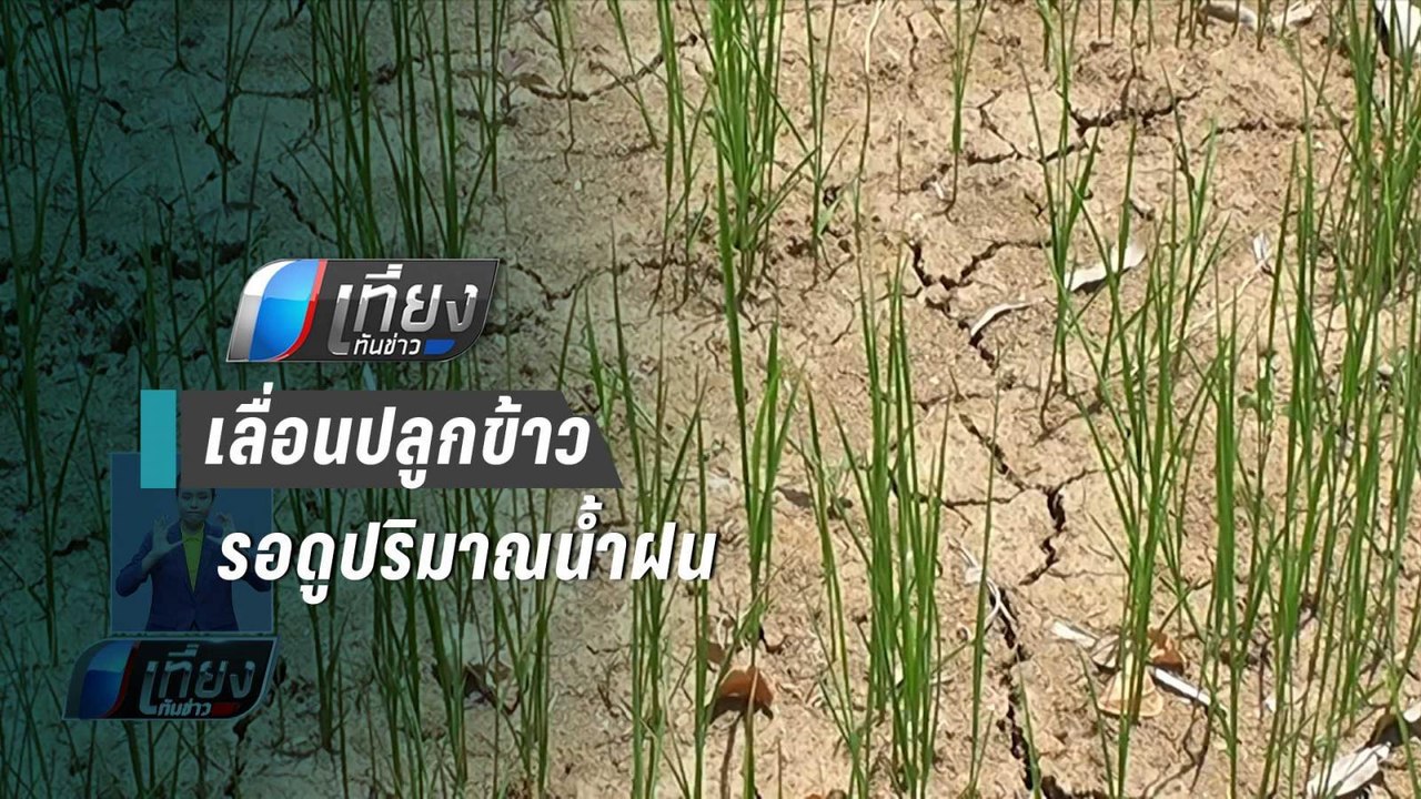 “จิสด้า” เผยภาพดาวเทียม อีสาน-เหนือ ยังแล้งหนัก แนะเกษตกรเลื่อนปลูกข้าว | เที่ยงทันข่าว