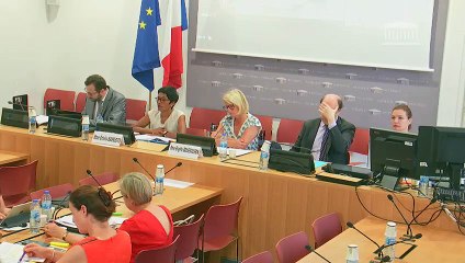 Commission des affaires sociales: Auditions diverses sur la maladie vectorielle transmise par les moustiques - Mercredi 24 juillet 2019