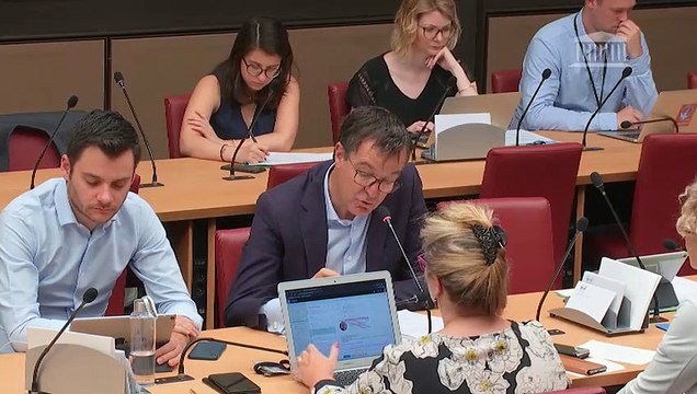 Commission des affaires économiques : Rapport d’information Tourisme ; M. Mickael Nogal - Louer en confiance - Mercredi 24 juillet 2019